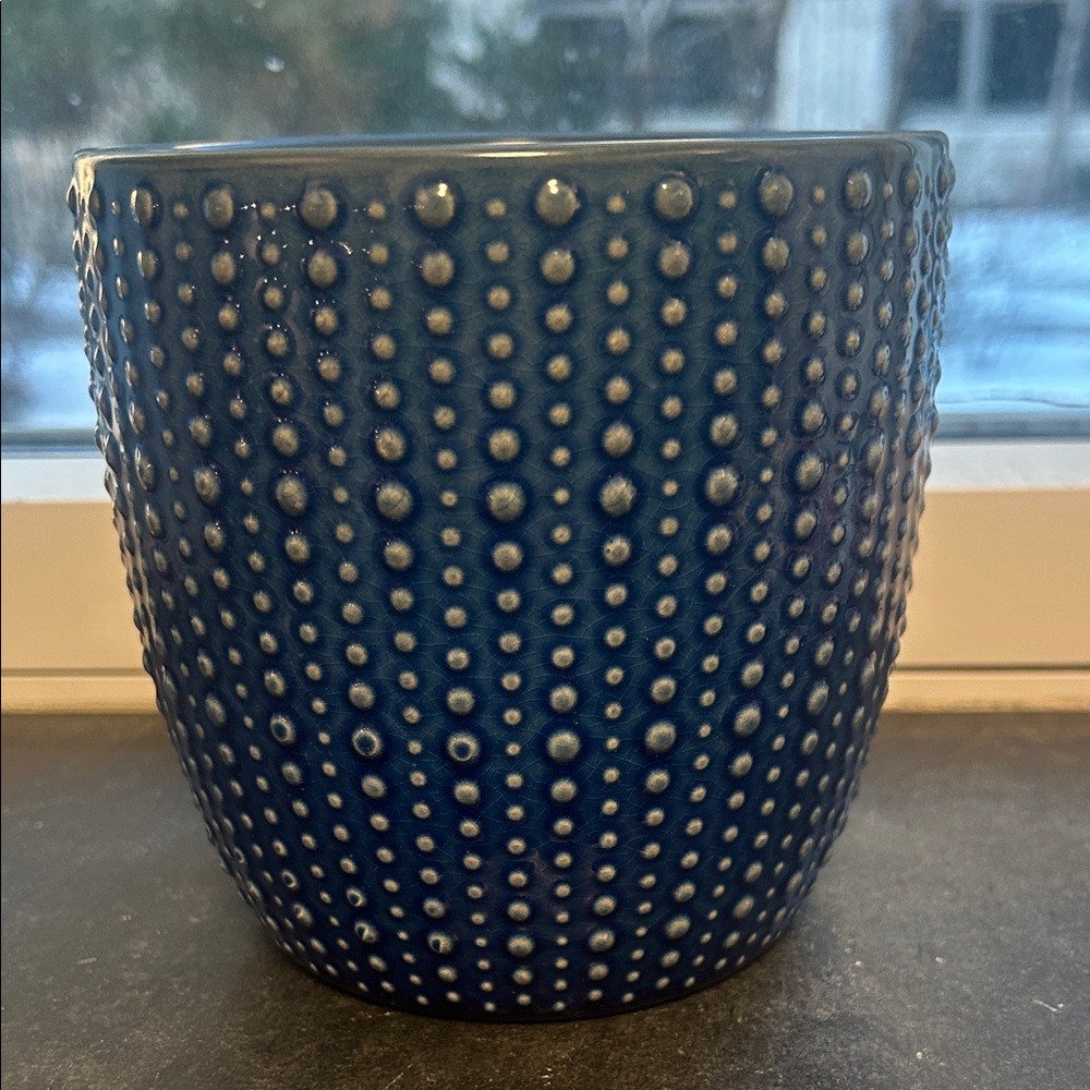Elegant Blue Dotted Planter